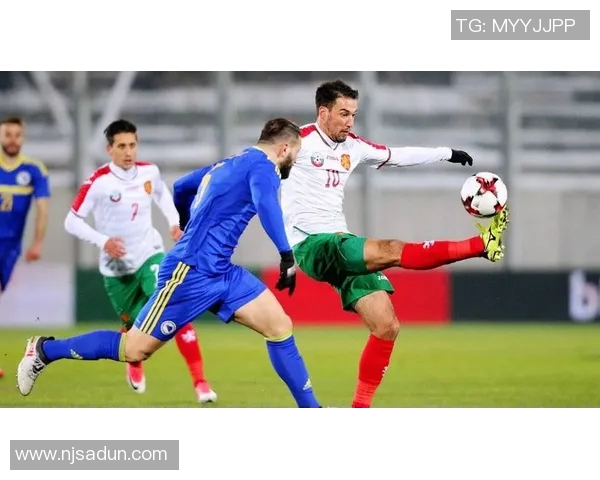 芬兰与匈牙利足球赛精彩对决结果揭晓引发热议