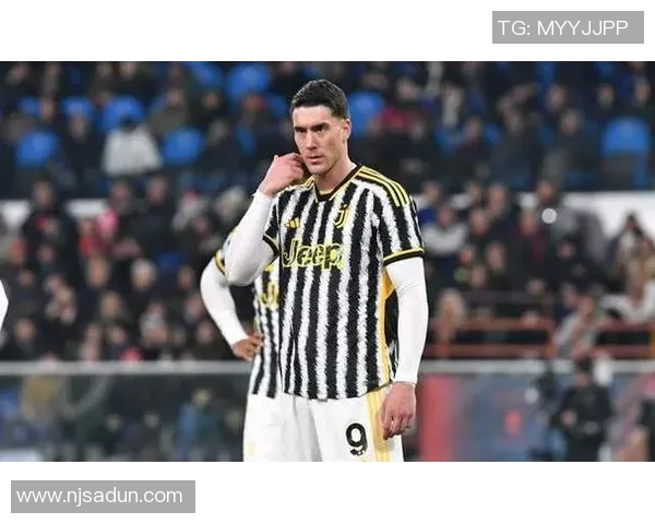 弗拉霍维奇：从天才前锋到意甲新星的崛起之路与未来展望