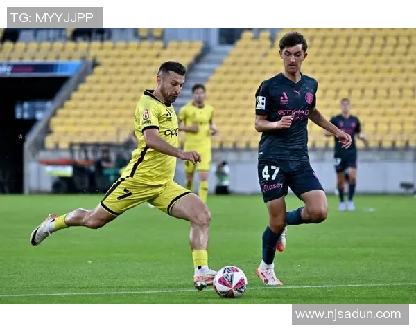 惠灵顿对阵珀斯的胜平负分析及赛前预测详解 惠灵顿对阵珀斯的胜平负分析及赛前预测详解